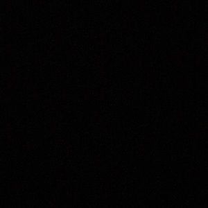 Meet your Posher, Riley